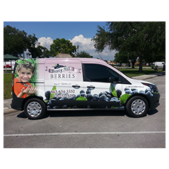 Full van wrap and van wrap from at Custom Graphics and Signs, Florida