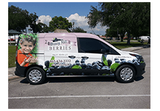 Full van wrap from Custom Graphics and Signs Florida