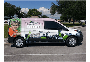 Full van wrap by Custom Graphics and Signs, Florida