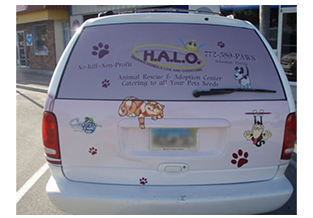 Perforated window film with full vehicle wrap Custom Graphics and Signs